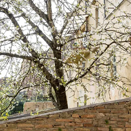 Apartamento La Casa Di Filippo San Gimignano